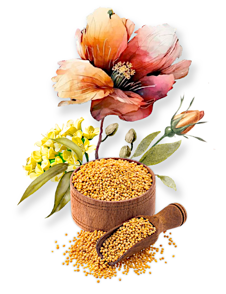 mustard seeds flower with faith