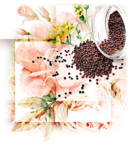 mustard seeds flowers with faith
