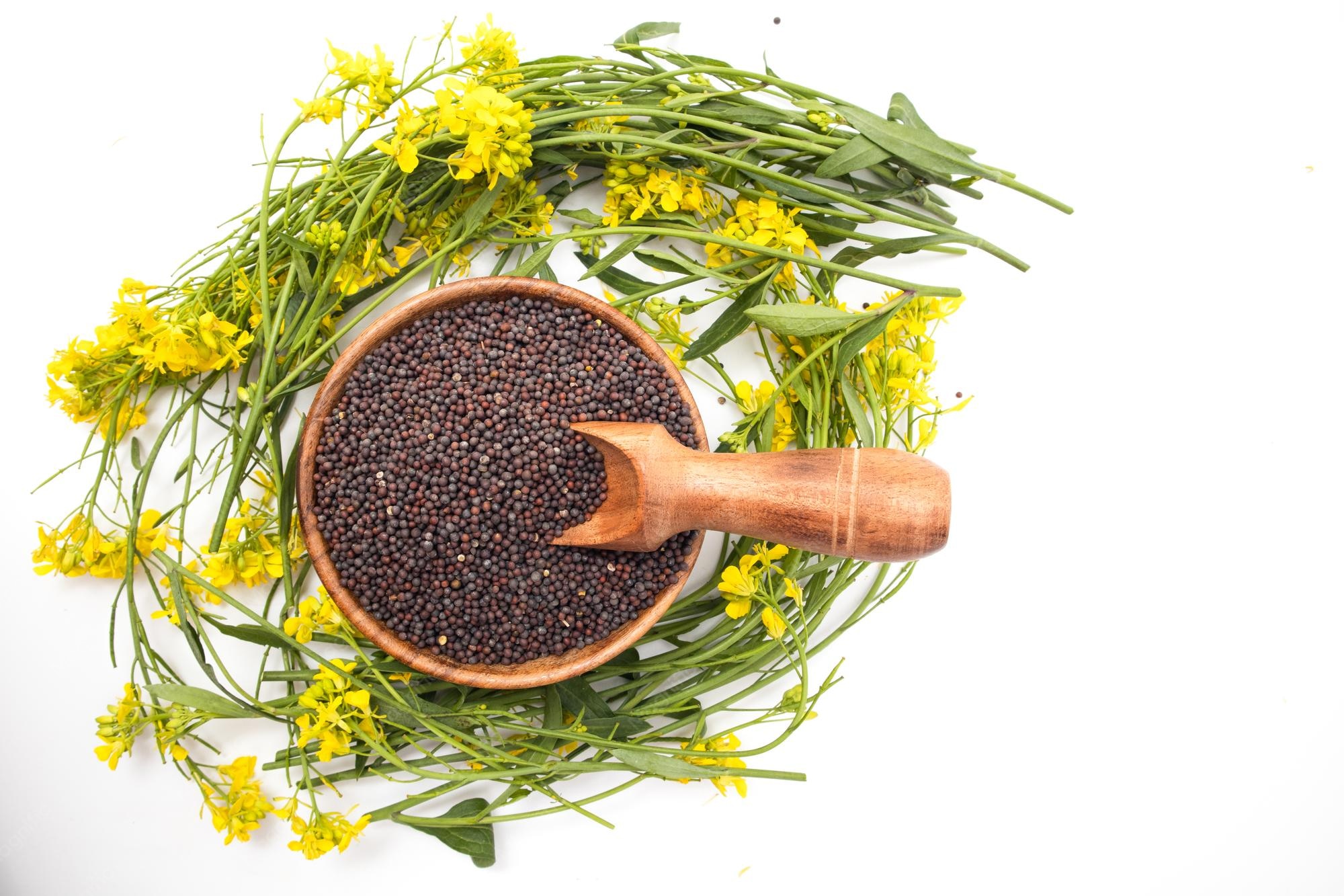 Faith of the Mustard Seed